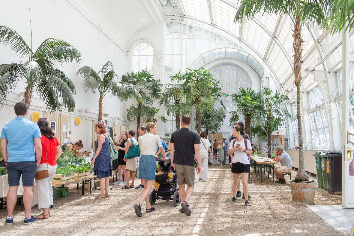 Besucher am Markt im Palmenhaus