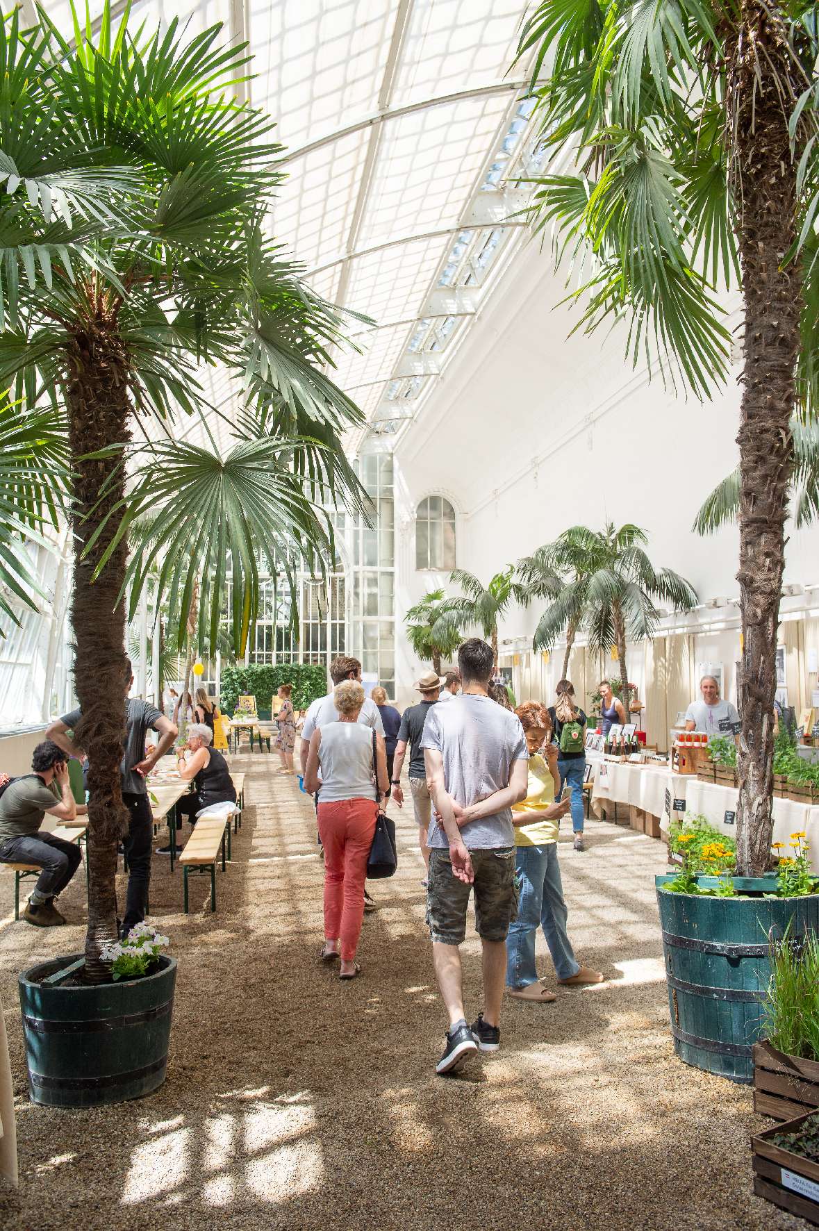 Markt im Palmenhaus