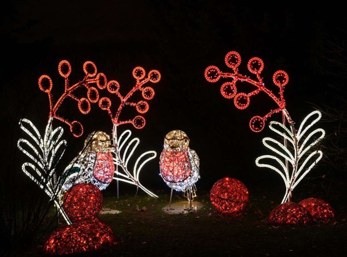 zu sehen sind Lichtfiguren in der Dunkelheit aus zwei Vögel und Blumen in den Farben rot und weiß