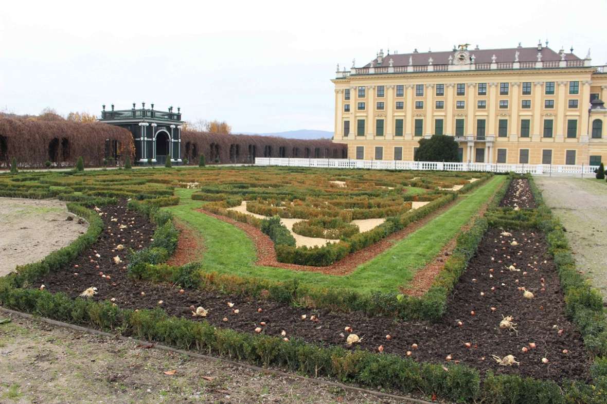 zu sehen ist ein abgeräumtes Blumenbeet, im Hintergrund ein großes Gebäude