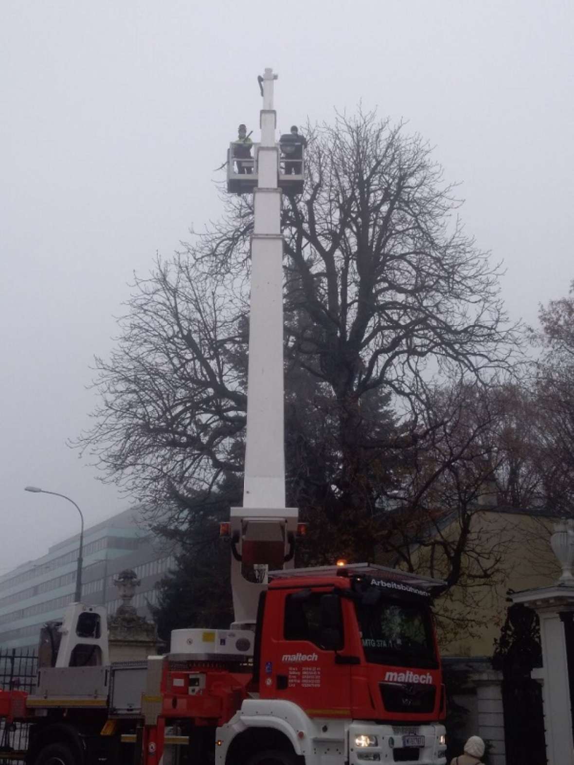 zu sehen ist ein Lastwagen mit einer Hebebühne. Der Kranarm ist weit ausgefahren. In dem Korb der Hebebühne stehen zwei Männer und schneiden Äste eines großen Baumes.