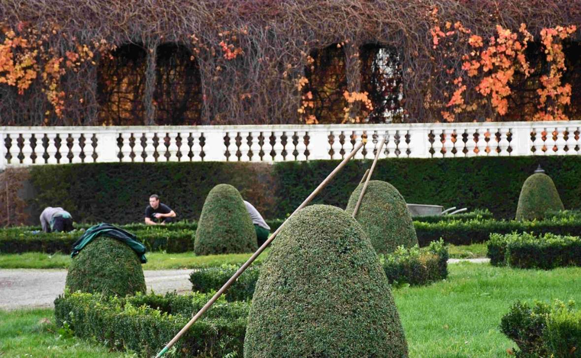 zu sehen ist ein Parkgelände, mit Gärtnern, die etwas in die Erde pflanzen