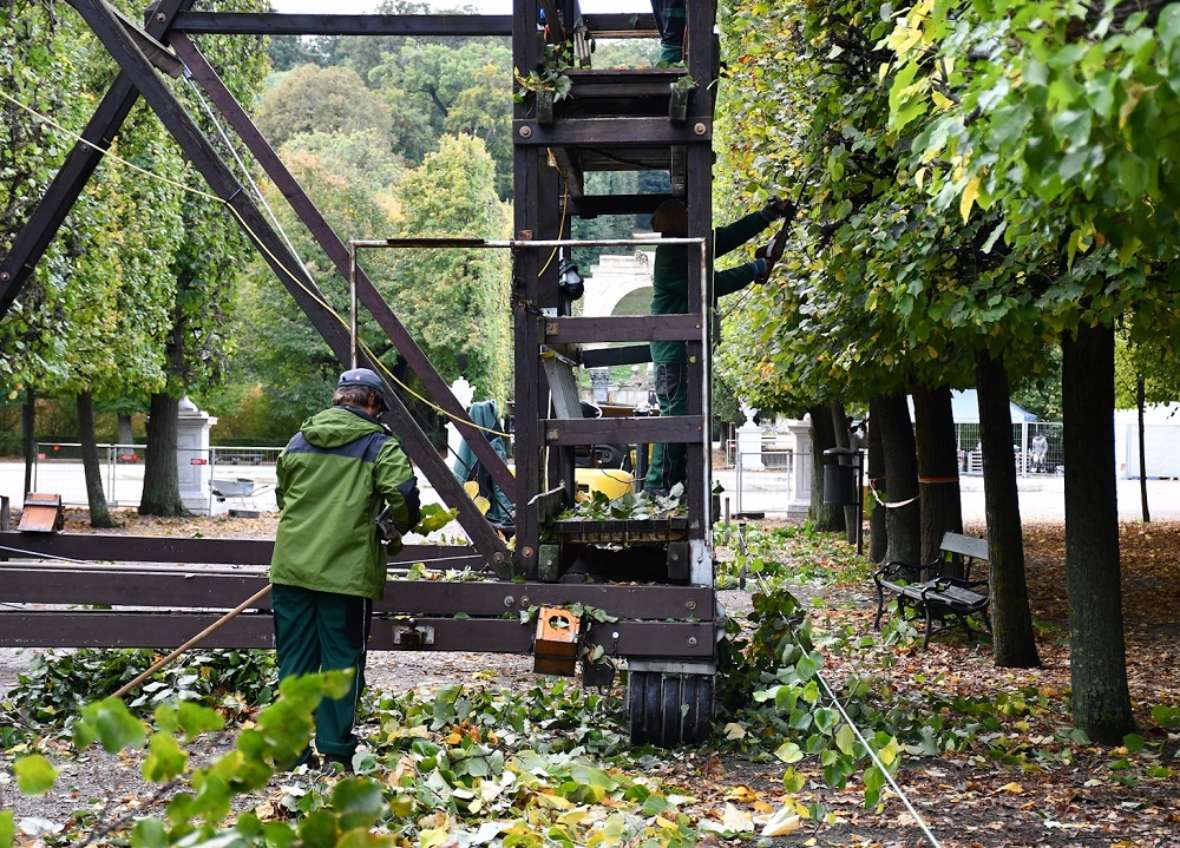 man sieht das hölzerne Schneidegerüst in Großaufnahme in einer Allee, davor steht ein Gärtner mit einer Motorsäge in der Hand und arbeitet