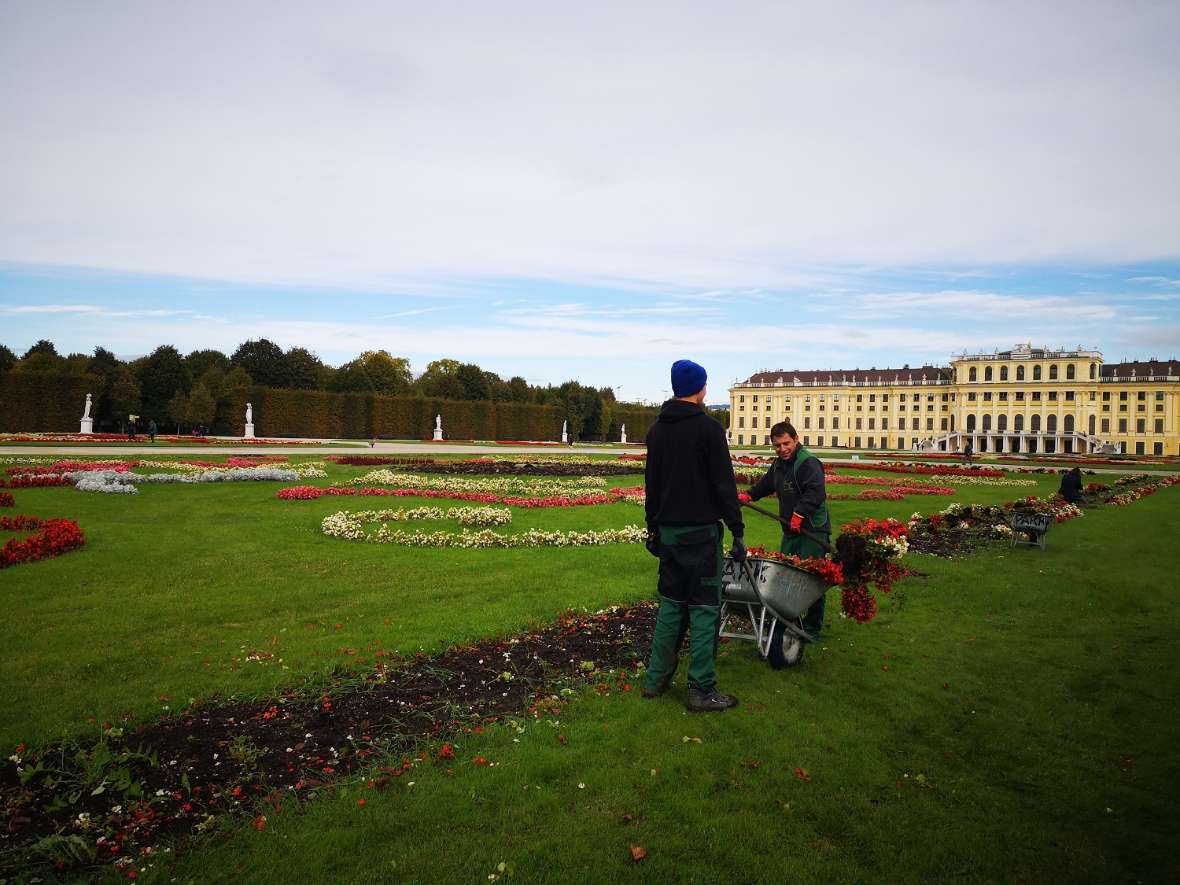 zu sehen ist eine grüne Wiese in der sich Beete befinden, zwei Gärtner entfernen Blumen mit einem Spaten aus dem Beet und schmeißen sie in eine Scheibtruhe.