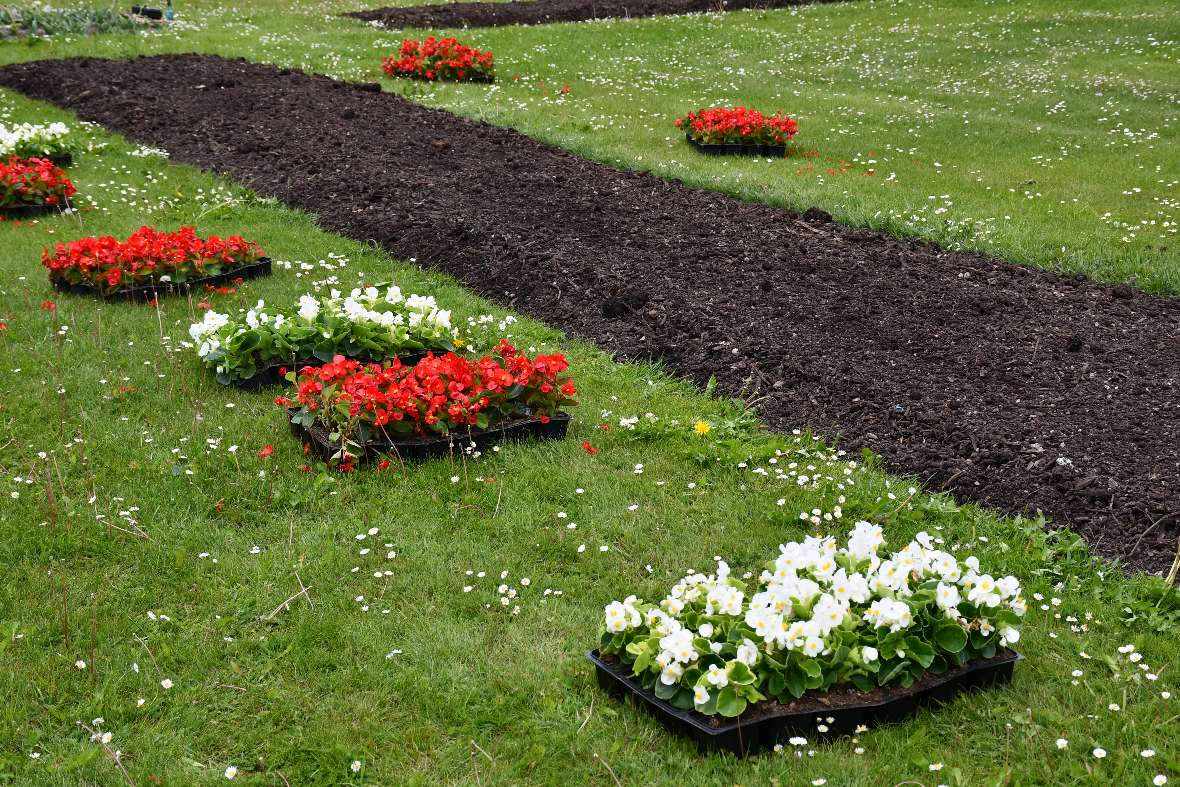 zu sehen sind rote und weiße Blumen die in einer Wieses stehen, davor ein Erdbeet