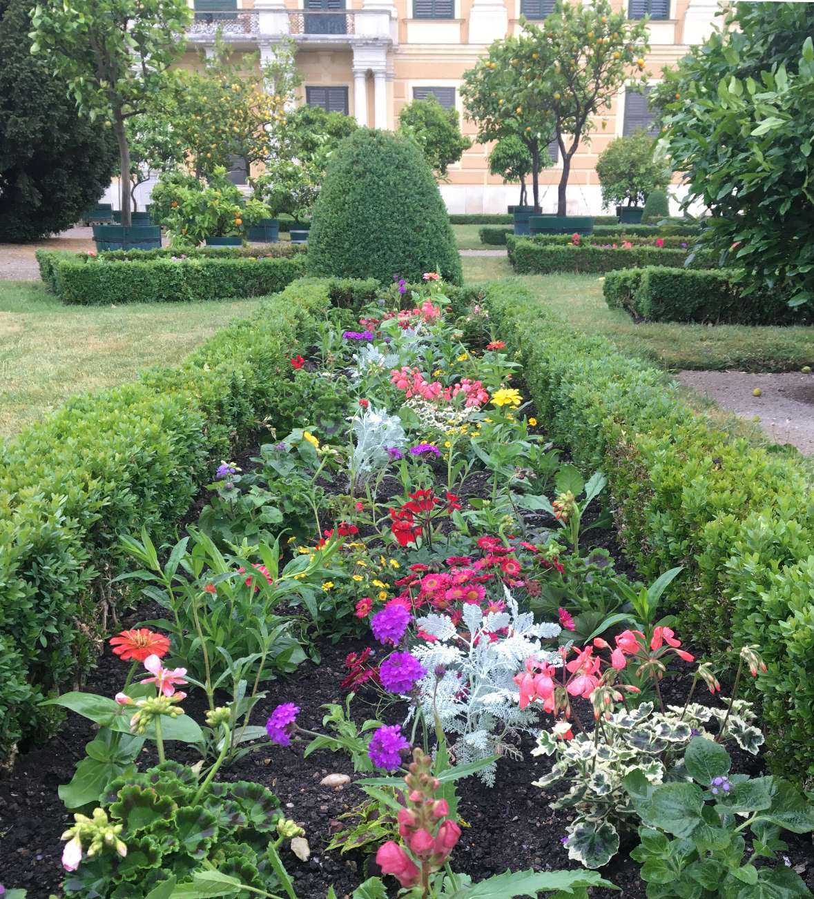 zu sehen sind verschiedene bunte Blumen in einem Beet