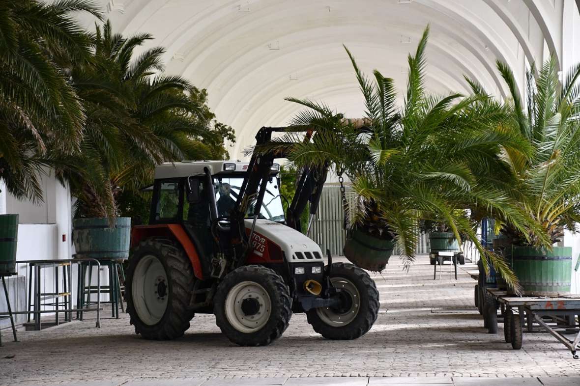 zu sehen ist ein Traktor in einem Gebäude, der große Pflanzen in Holzträgen führt