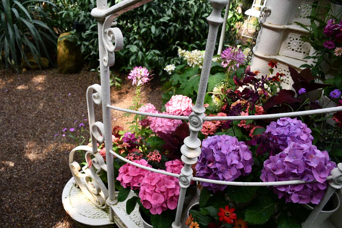 Verschiedene Sommerblumen schmücken die Treppe im Palmenhaus