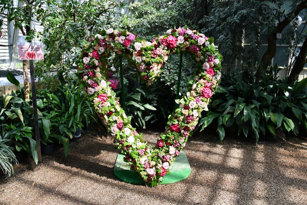 Ein bunt blühendes Blumenherz steht im Palmenhaus