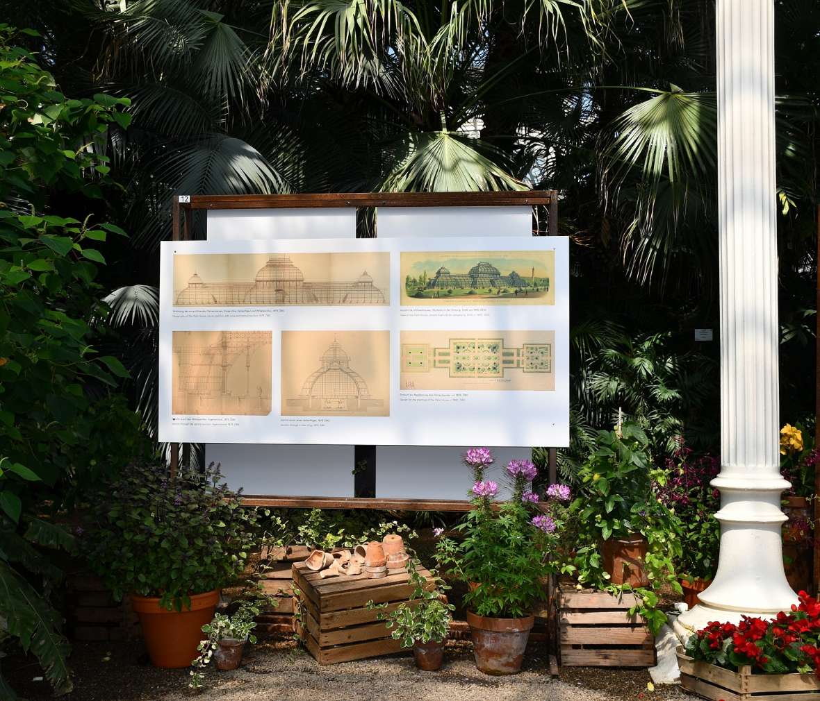 Ausstellungstafel im Palmenhaus