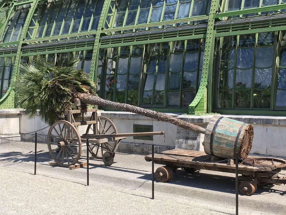 Palme liegt auf historischen Transportwagen