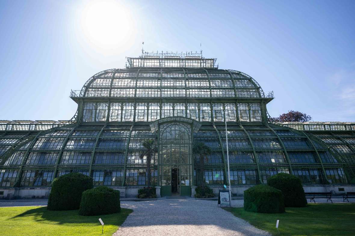 Mittelpavillon des Großen Palmenhauses