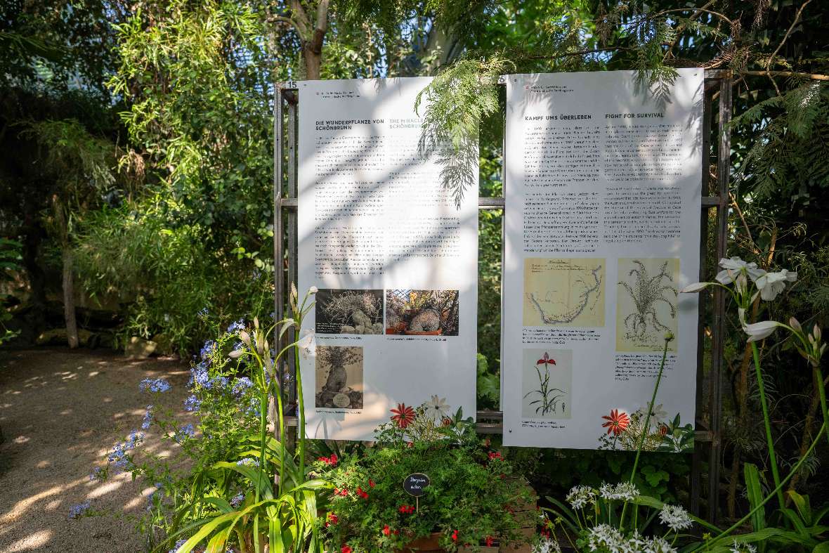 Ausstellungstafeln