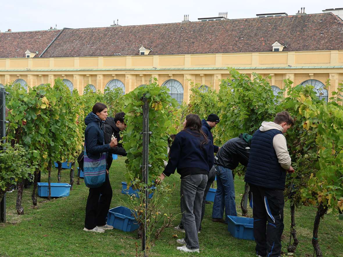 Schülerinnen und Schüler bei der Lese