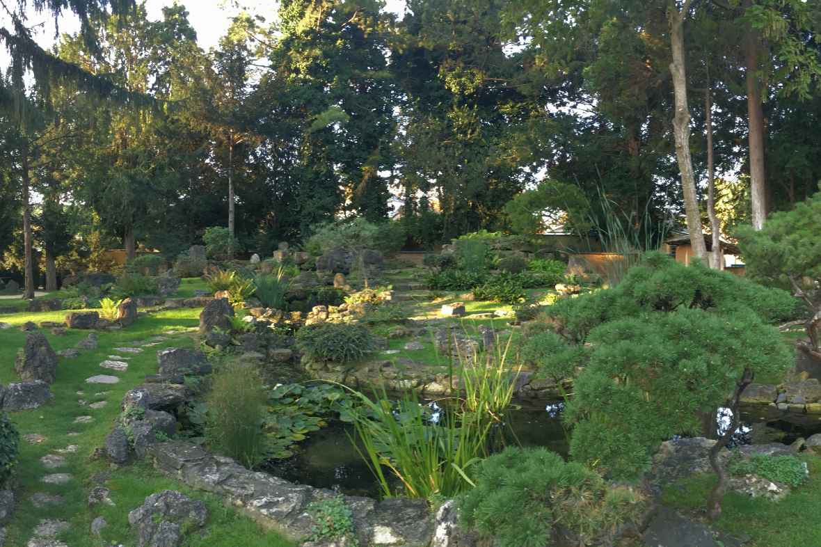 Japanischer Garten hinter dem Palmenhaus im Schlosspark Schönbrunn 
