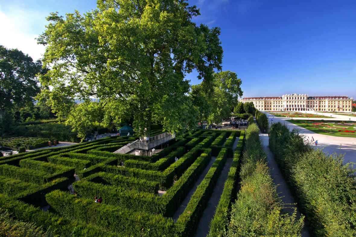 Irrgarten Schönbrunn