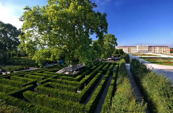 Irrgarten Schönbrunn