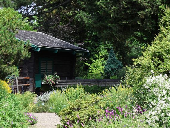 Alpengarten im Belvedere