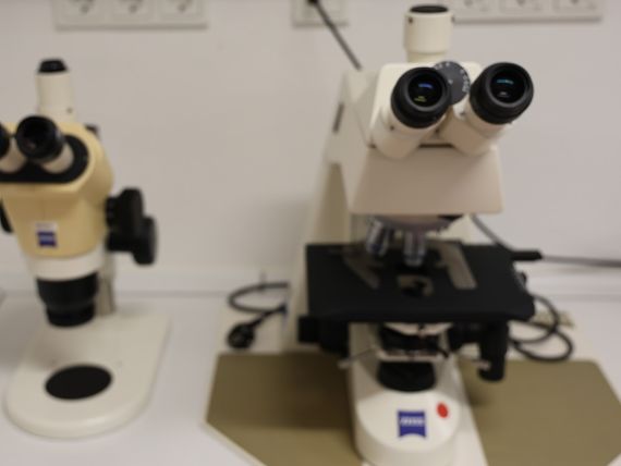 Lange Nacht der Forschung