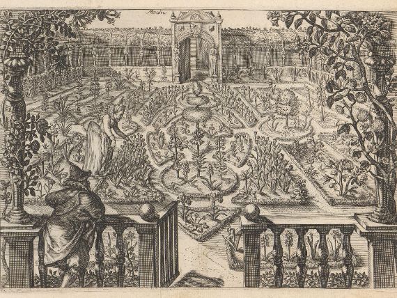 Sonderausstellung: Kaiserkron und Tulipan