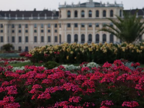 Schönbrunn am Abend
