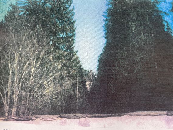 Foto aus den 2000er Jahren mit erkennbarer Sichtachse und Blick zum Wasserfall